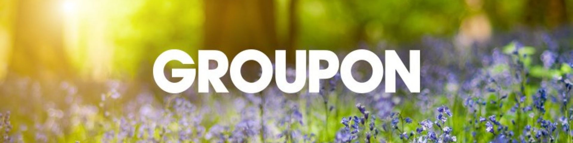 Groupon: come funziona e sconti del servizio