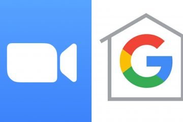 Meglio Google Meet o Zoom? Differenze e analogie