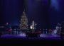 Francesco Gabbani in concerto: come seguirlo